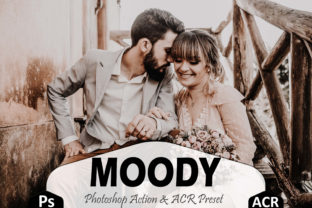 Download Moody Photoshop Actions and ACR Presets - Photos Collection