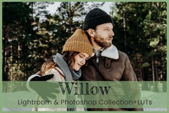 Download 8 Willow Photoshop Actions Winter Warm - Photos Collection