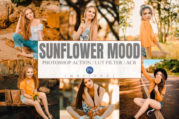 Download Sunflower Mood Photoshop Actions, LUT - Photos Collection