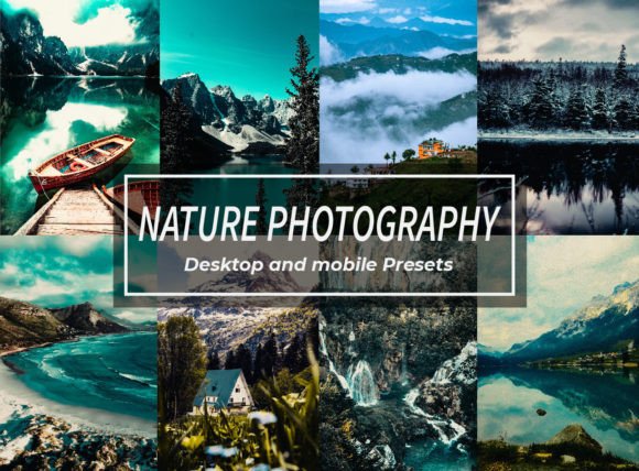 Download Nature Photography Lightroom Presets - Photography Collection